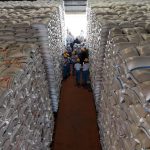 Stok Beras di Kediri Capai 103.150 Ton, Bulog Sewa Gudang untuk Tampung Gabah Petani