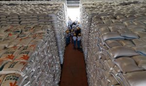 Stok Beras di Kediri Capai 103.150 Ton, Bulog Sewa Gudang untuk Tampung Gabah Petani