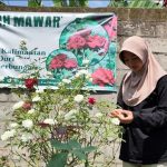 Atlet Kriket Kediri Jual Tanaman Hias demi Biaya Hidup dan Kuliah