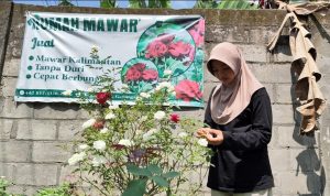 Atlet Kriket Kediri Jual Tanaman Hias demi Biaya Hidup dan Kuliah