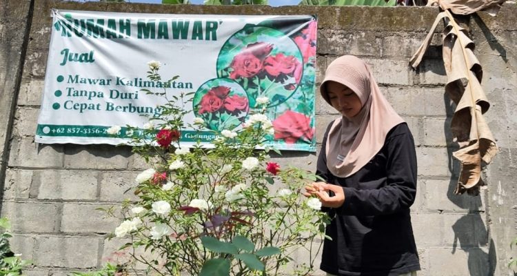 Atlet Kriket Kediri Jual Tanaman Hias demi Biaya Hidup dan Kuliah