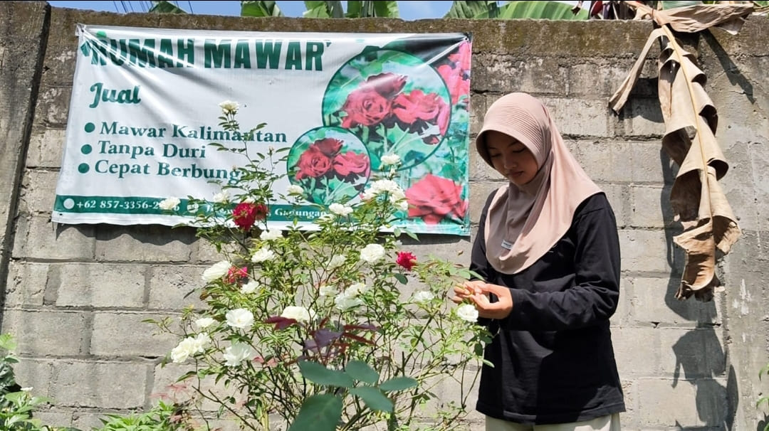 Atlet Kriket Kediri Jual Tanaman Hias demi Biaya Hidup dan Kuliah