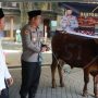 Indahnya Berbagi, Kapolres Jombang Serahkan Hewan Kurban Kapolda Jatim