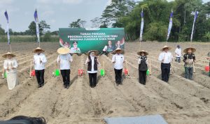 Bongkar Ratoon di Kediri Serentak di 11 Daerah, Khofifah Optimistis Jatim Swasembada Gula