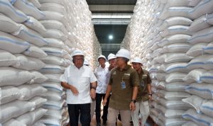 Stok Beras Kediri Melimpah, Legislator Pastikan Aman Hadapi Ancaman El Nino