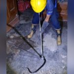 Ular Cobra Bikin Heboh Penghuni Rumah Warga Kediri, Damkar Evakuasi Teknik Khusus