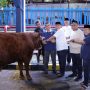 Kemnaker Himpun 93 Hewan Kurban Iduladha 1447 Hijriah, Ini Rinciannya