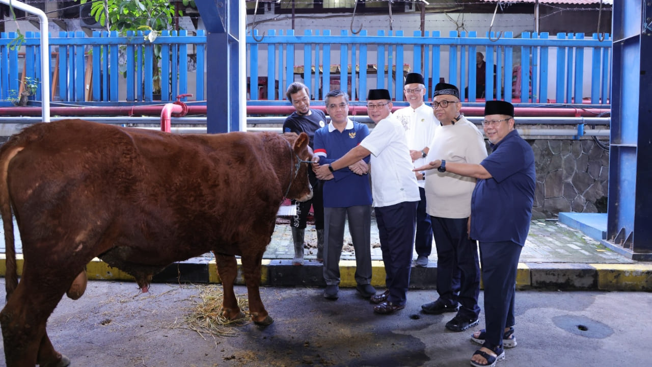Kemnaker Himpun 93 Hewan Kurban Iduladha 1447 Hijriah, Ini Rinciannya