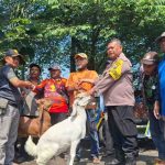 Polsek bagi kambing Momen Iduladha 2026, Tukang Becak Dapat Hewan Kurban Dari Polsek Jombang