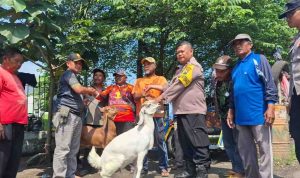 Momen Iduladha 2026, Tukang Becak Dapat Hewan Kurban Dari Polsek Jombang