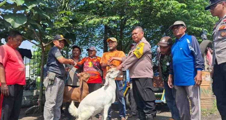 Polsek bagi kambing Momen Iduladha 2026, Tukang Becak Dapat Hewan Kurban Dari Polsek Jombang