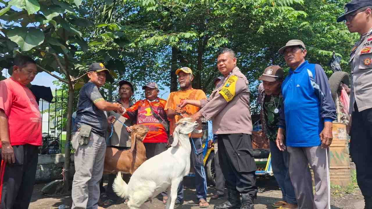 Momen Iduladha 2026, Tukang Becak Dapat Hewan Kurban Dari Polsek Jombang