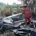 Jombang, Jurnal Jatim - Kandang ayam milik seorang warga di Dusun Bantengan, Desa Tanjunggunung Kecamatan Peterongan Kabupaten Jombang, hangus dilumat si jago merah.