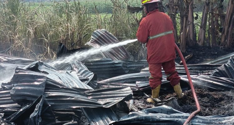 Jombang, Jurnal Jatim - Kandang ayam milik seorang warga di Dusun Bantengan, Desa Tanjunggunung Kecamatan Peterongan Kabupaten Jombang, hangus dilumat si jago merah.
