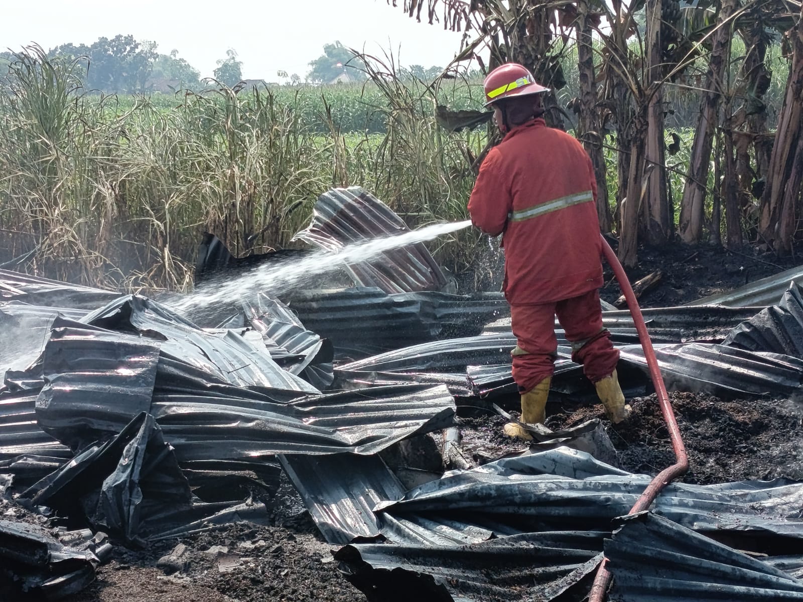 Jombang, Jurnal Jatim - Kandang ayam milik seorang warga di Dusun Bantengan, Desa Tanjunggunung Kecamatan Peterongan Kabupaten Jombang, hangus dilumat si jago merah.