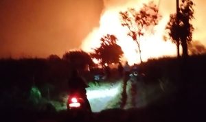 Si Jago Merah Ngamuk Hanguskan Kandang Ayam di Kediri, Kerugian Tembus Rp1,5 Miliar