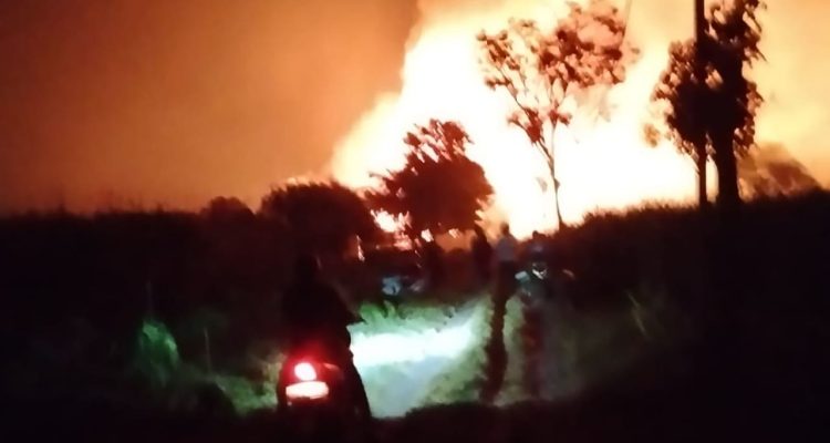 Si Jago Merah Ngamuk Hanguskan Kandang Ayam di Kediri, Kerugian Tembus Rp1,5 Miliar