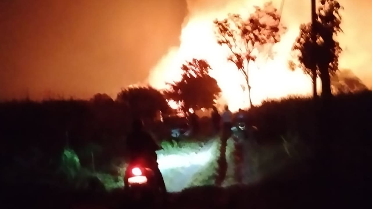 Si Jago Merah Ngamuk Hanguskan Kandang Ayam di Kediri, Kerugian Tembus Rp1,5 Miliar