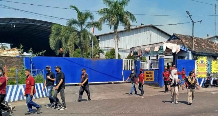 PHK Besar-besaran, 1000 Buruh Pabrik Plywood Jombang Terancam Jadi Pengangguran!