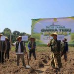 Tutup tanam tebu Tutup Tanam Garda Tebu Nusantara di Kediri, Kementan Andalkan Varietas Panjalu