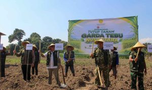 Tutup tanam tebu Tutup Tanam Garda Tebu Nusantara di Kediri, Kementan Andalkan Varietas Panjalu