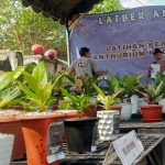 Latgab Latber Perdana ANKER, Kediri Bidik Tuan Rumah Kontes Anthurium Nasional