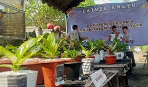 Latgab Latber Perdana ANKER, Kediri Bidik Tuan Rumah Kontes Anthurium Nasional