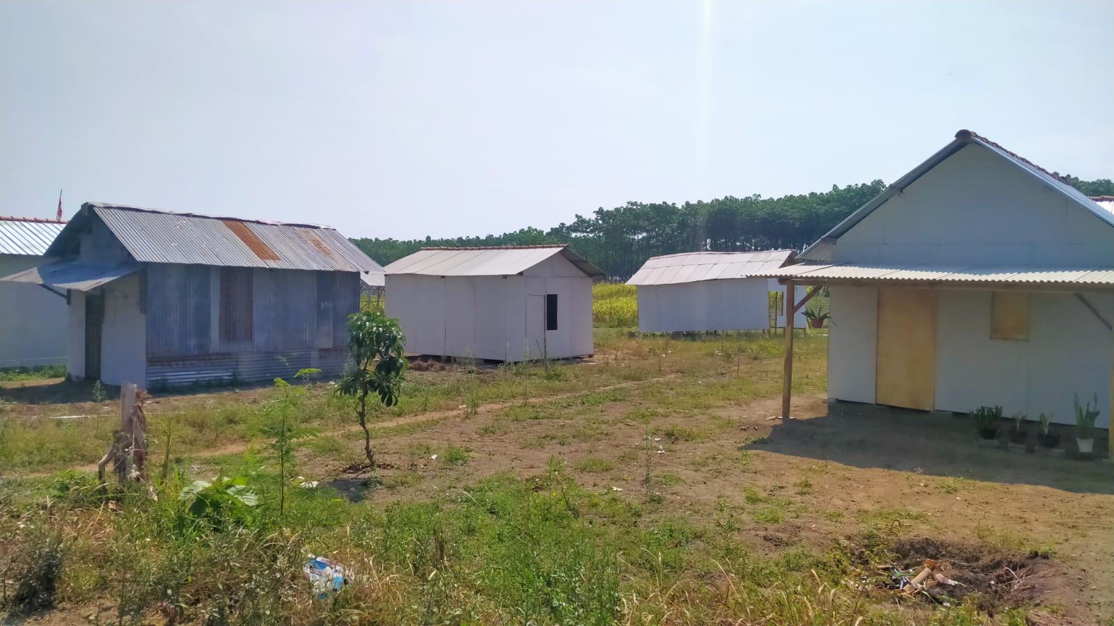 Pendirian Rumah Bedeng di Lahan Eks HGU di Puncu Kediri Dipersoalkan