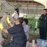 Cikar Mbah Gleyor di Kediri Dicoret, BPK Jatim Uji Metode Pembersihan Tanpa Rusak Kayu