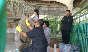 Cikar Mbah Gleyor di Kediri Dicoret, BPK Jatim Uji Metode Pembersihan Tanpa Rusak Kayu