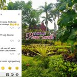 Viral Nama Taman Prameswati di Kediri, Publik Pertanyakan Dasar Penamaan