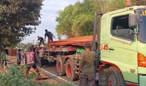 Dua Motor di Jombang Tertimpa Kayu dari Truk, Begini Kronologinya