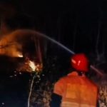 Lahan Jati di Nganjuk Kebakaran Hebat, Ini Pemicunya