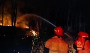 Lahan Jati di Nganjuk Kebakaran Hebat, Ini Pemicunya