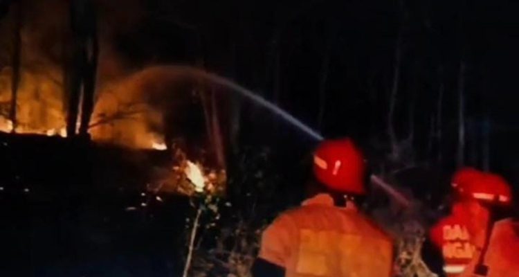 Lahan Jati di Nganjuk Kebakaran Hebat, Ini Pemicunya